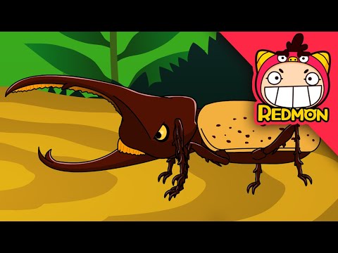 Hercules Beetle vs Caucasus Beetle | Animal Battle | 4K cartoon