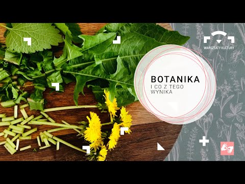 Botanika i co z tego wynika | poznaj rośliny wokół siebie