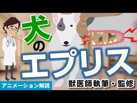 犬のエントロピオン – 原因、症状、治療