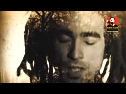 Sebastian Sturm : Back Among The Living