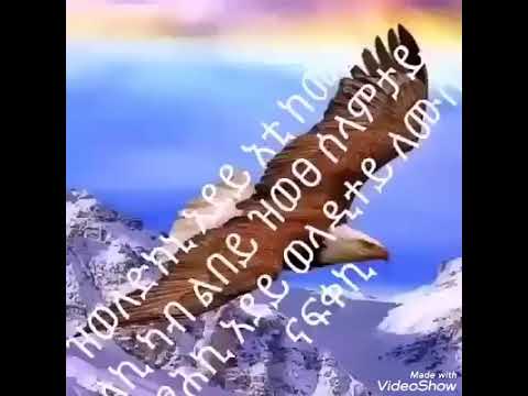 ናፍቖት ስድራ መሪር ከም ዕረ ስደት ስዲ ኣይትስኣን ናይ ኢድካ