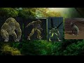 All Transformations Rotation
