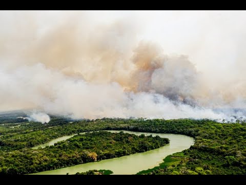 Queimadas em Biomas Brasileiros - Audiência pública e votação de requerimentos - 12/08/2021