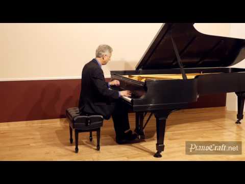 Chopin "Black Key" Etude Op10 No 5 Brian Ganz