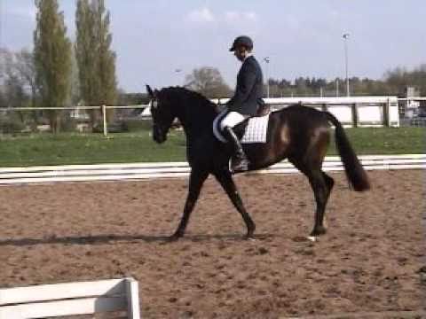 Diarado's mother: Roxette 3 J