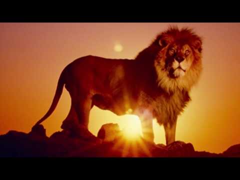 Leo April 6th to 12th 2020 - Communication Is The Key - Intuitive Tarot Reading