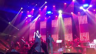 Sibel Can - BGM Yeni Aşkım