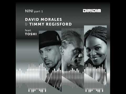 David Morales & Timmy Regisford feat. Toshi - NINI (Vocal Mix)