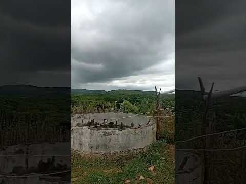 Cazuza na Logoa Do Arroz - Catarina, Ceara | Olha a chuva no Ceará