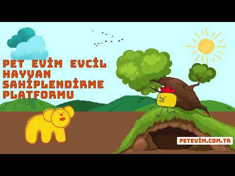 En Hızlı Ücretsiz Evcil Hayvan Sahiplendirme