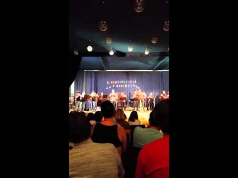 Holobkova mozeka - Green Hornet - sólo Miroslav Bureš