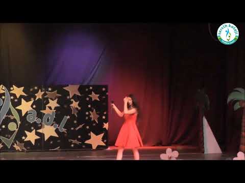 ERİK DALI BAHAR FESTİVALİ