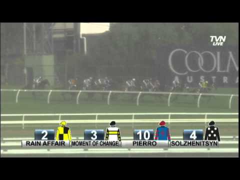 2013 Cellarbrations Canterbury Stakes -Pierro