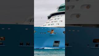 Freedom of the Seas 🛳️#like #share #comment #subscribe #cruiseship #cruise #vacation #shorts #short