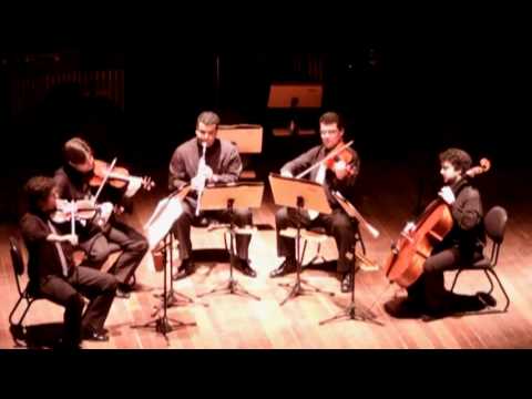 Brahms Clarinet Quintet- Allegro, op.115, part 1