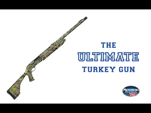 Mossberg 500 Tactical Turkey Shotgun | Review