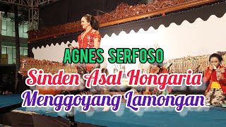 Download lagu Agnes Serfoso, Sinden asal Hongaria, Goro Goro Ki Dalang Sinarto, Kadin Kebudayaan Jatim mp3 Download lagu Agnes Serfoso, Sinden asal Hongaria, Goro Goro Ki Dalang Sinarto, Kadin Kebudayaan Jatim mp3