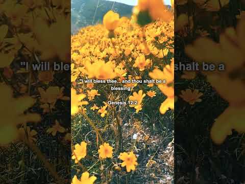 Genesis 12:2 thumbnail