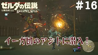 【BtoW】この世の原理を知らない　寄り道がメインのゼルダの実況　16