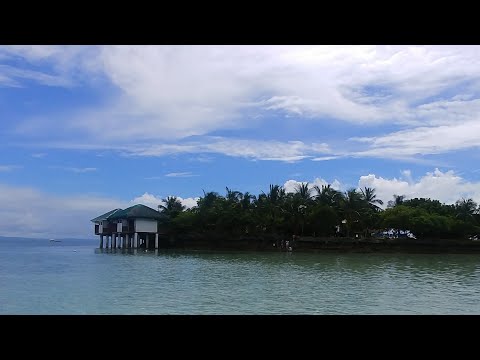 Nalusuan Island Resort and Tropical Fish Sanctuary Cebu Philippines