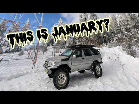 This Is Usually Impossible | Bastion Crawl Year 5