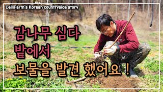 보물을 발견 했어요 이런 소소한 재미가 시골 사는 큰 즐거움 입니다. 첼리팜 시골이야기 CelliFarm's…