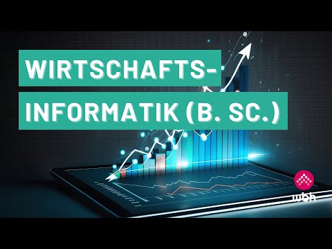 Wirtschaftsinformatik (B. Sc.) | WBH Fernstudium