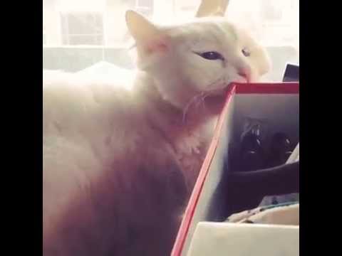 【moonstagram】Moon Hyuna instagram update - 140312