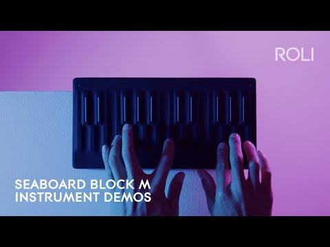ROLI SEABOARD M / BLOCK 2023 image 3