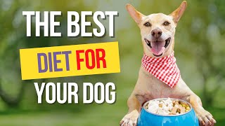 Complete Dog Nutrition Guide: Optimal Diets for All Breeds &