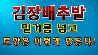 [텃밭농부.700]  김장배추밭에 밑거름 넣고 토양 만들기 #김장배추재배#김장배추직파