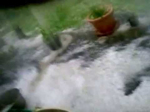 Hagelschlag Neugersdorf 9.Juni 2013