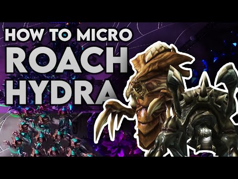 How To Micro Roach Hydra