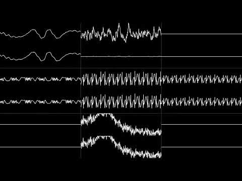 Yuzo Koshiro - “The End of the Raging Waves - Etrian Odyssey III (DS)” [Oscilloscope View]