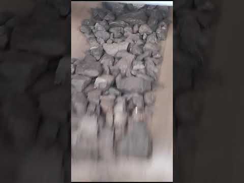 Indonesian screening coal