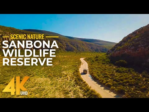 Bird's Eye View of Sanbona Wildlife Reserve - Incredible 4K Aerial Nature Views of South Africa