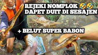 Download lagu MANCING BELUT DAPAT REJEKI NOMPLOK 🤣 mp3