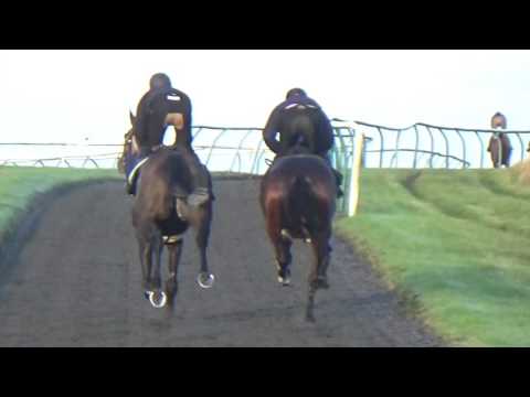 The Last Samuri, Younevercall, Charbel and Dueling Banjos Lambourn 17 10 2016