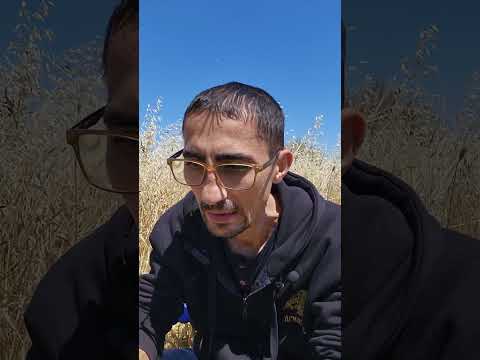 "Lazăre, vino afară!" sau povestea imposibilului