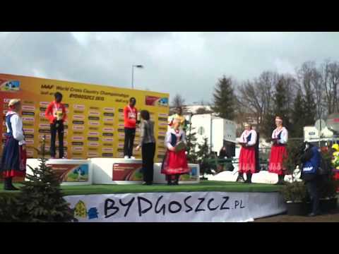IAAF World Cross Country Championships Bydgoszcz, Mistrzostwa Amatorów