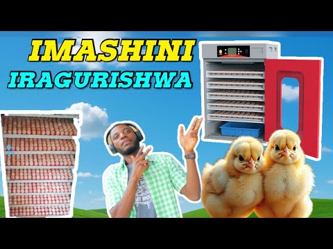 Incubator: Imashini Ituraga Amagi igurishwa kugiciro cyiza