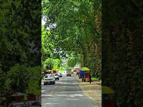 Tela Atlantida Honduras
