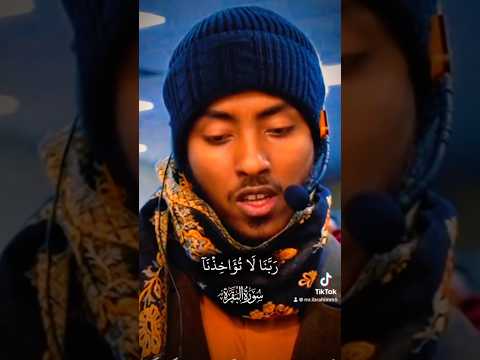 الشيخ عفيف محمد تاج اكسبلور ارح سمعك بالقران ارح قلبك دويتو fyourpage الشيخ عفيف محمد تاج را
