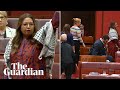 ‘Free Palestine’: Greens walk out of Senate