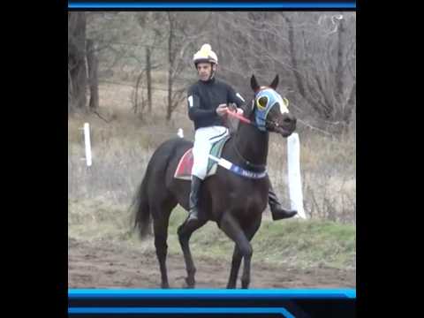 TURF MACACHIN LA PAMPA 12 7 26 bestia