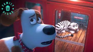 Download lagu Brave Mission to Save the Tiger | The Secret Life of Pets 2 mp3