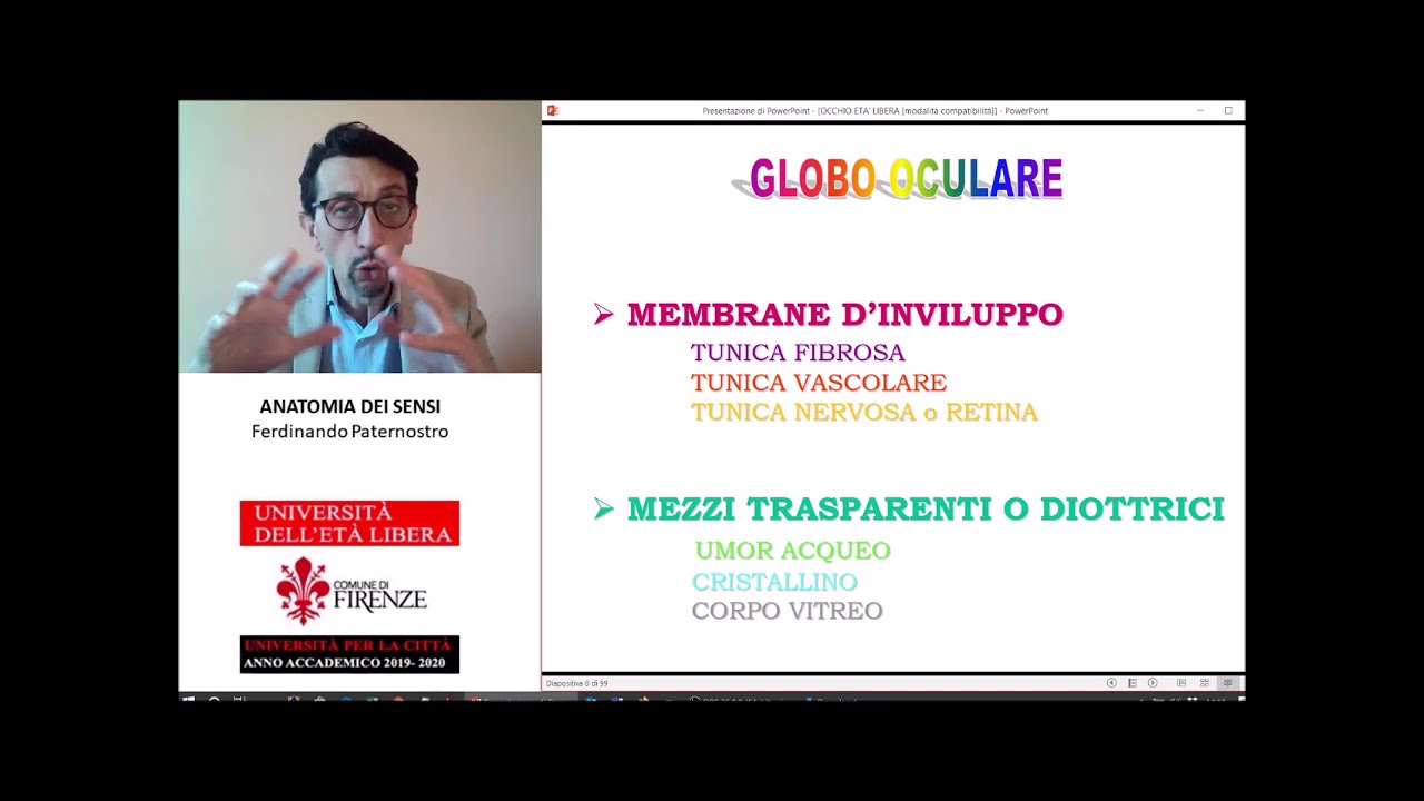 ANATOMIA DEI SENSI (1) L' occhio