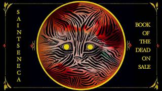 Saintseneca - "Book Of The Dead On Sale"
