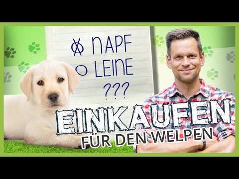 WELPE zieht ein – Welches Hundezubehör ist sinnvoll? | Welpen Erstausstattung