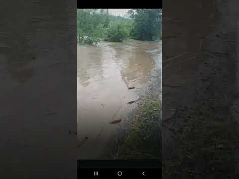 Inundații în Nadas Arad